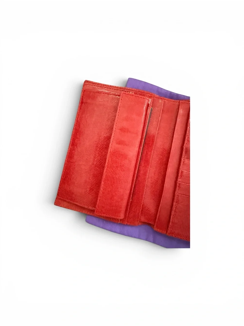 Vintage NWOT  Etro Large Paisley / Red Interior passport / coin / cc /Wallet